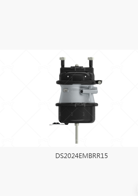 DS2024EMBRR15-2