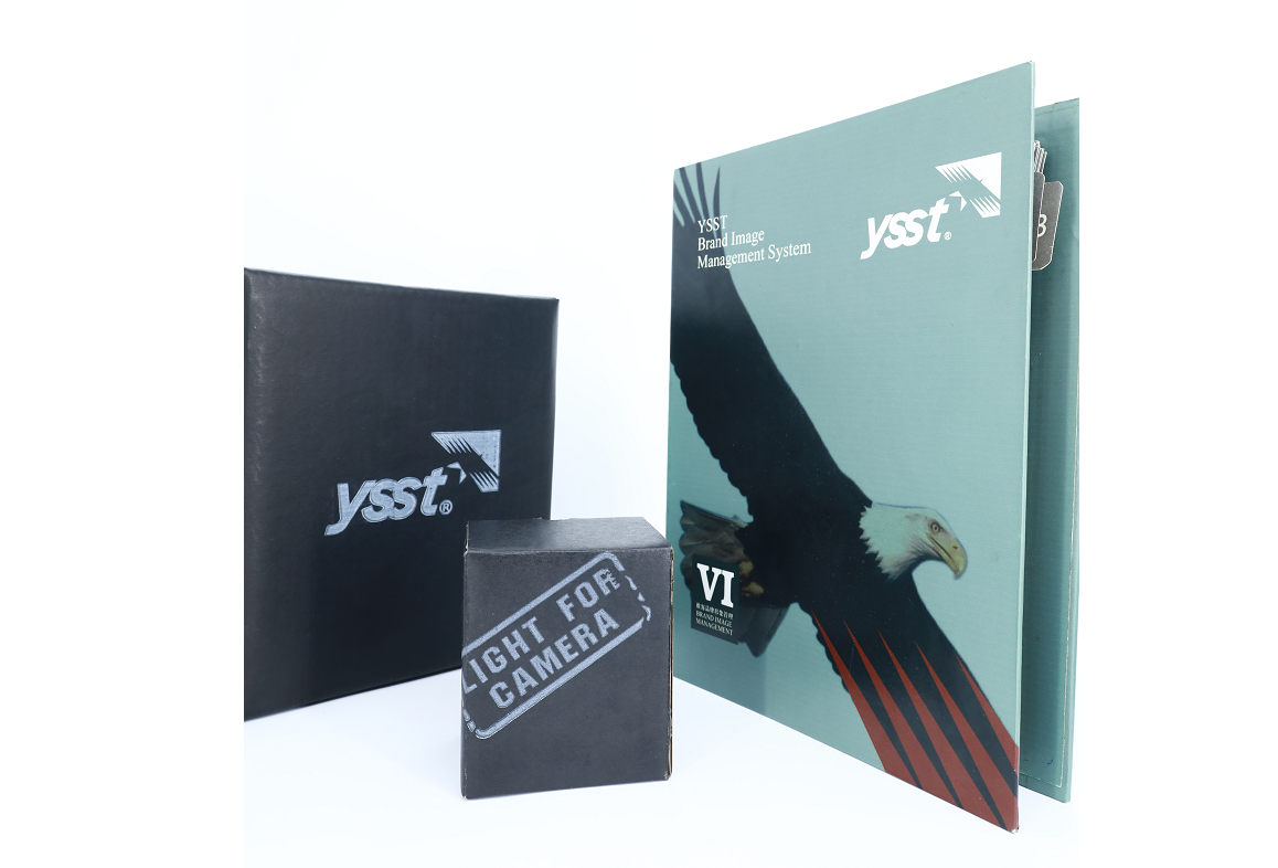 YSST VI