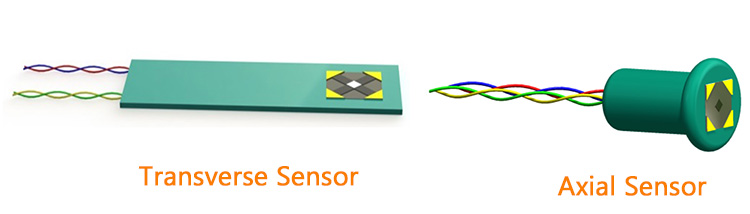 transverse sensor and axial sensor