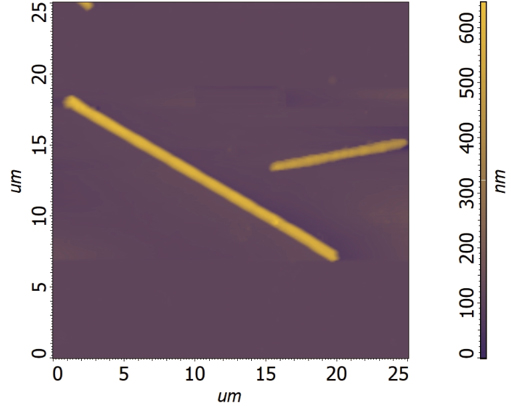 SiC whisker morphology