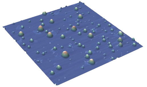 Polystyrene sphere morphology