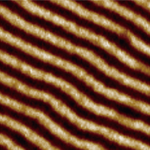 Fe-Ni thin film magnetic domain