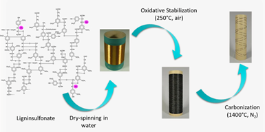 Infographic explaining development of bio-based materials.