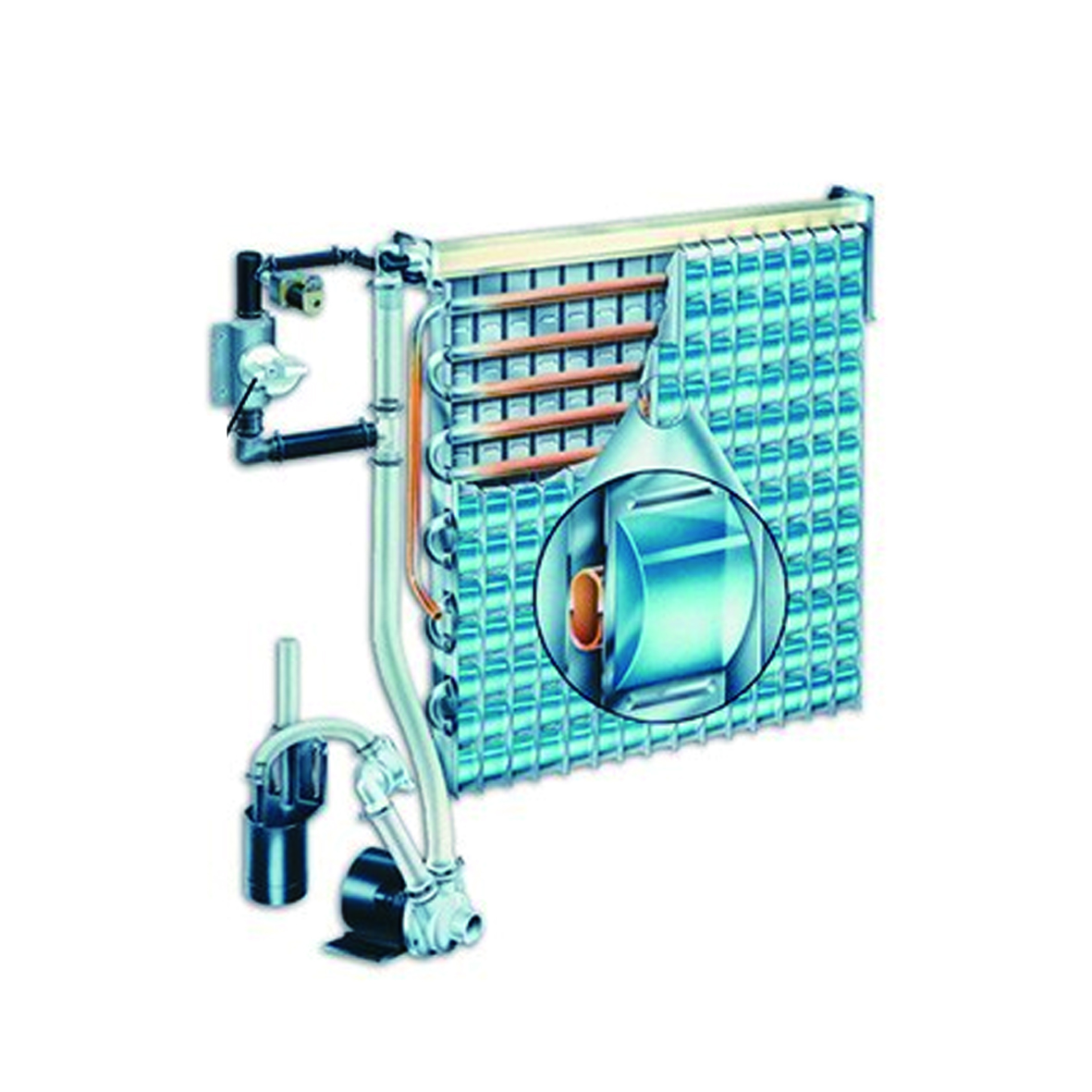 Evaporator-BOM