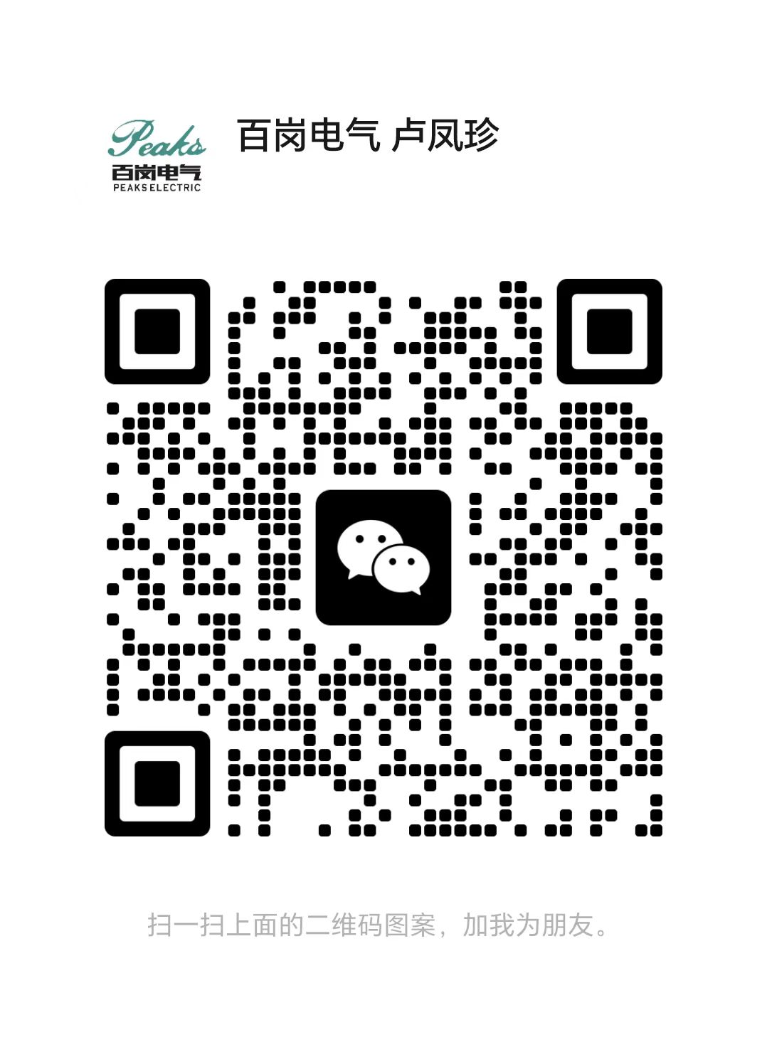 Wiring Harness PEAKS ELECTRIC