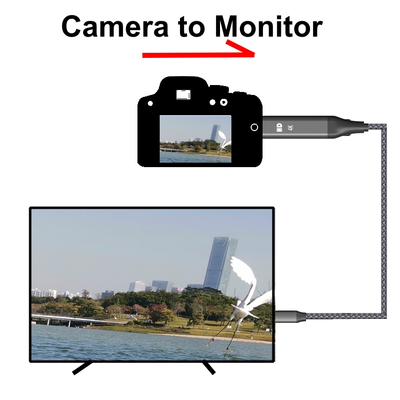 microhdmi2c241129-2