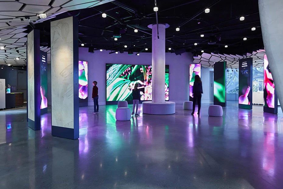 LED screen for showroom design, immersive and creative