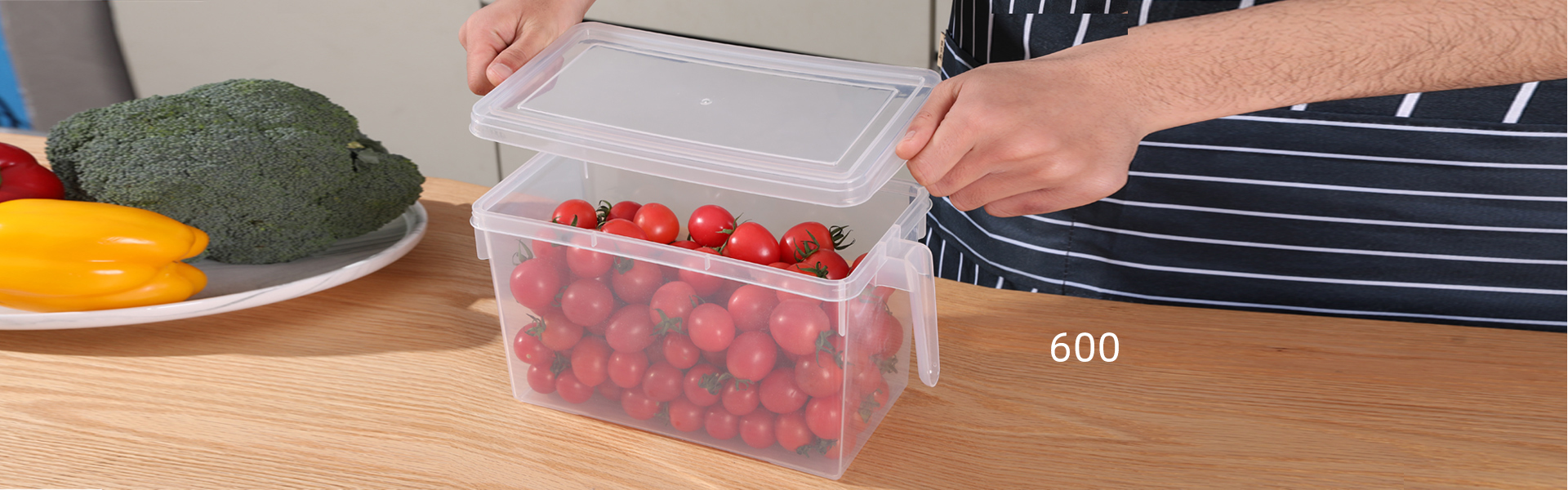 Food Storage With Handle