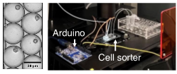 Intelligent microfluidic cancer cell sorter (IMC)