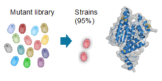 Single-cell molecular sensors (SMS)