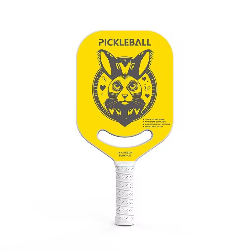 PickleballPaddles2