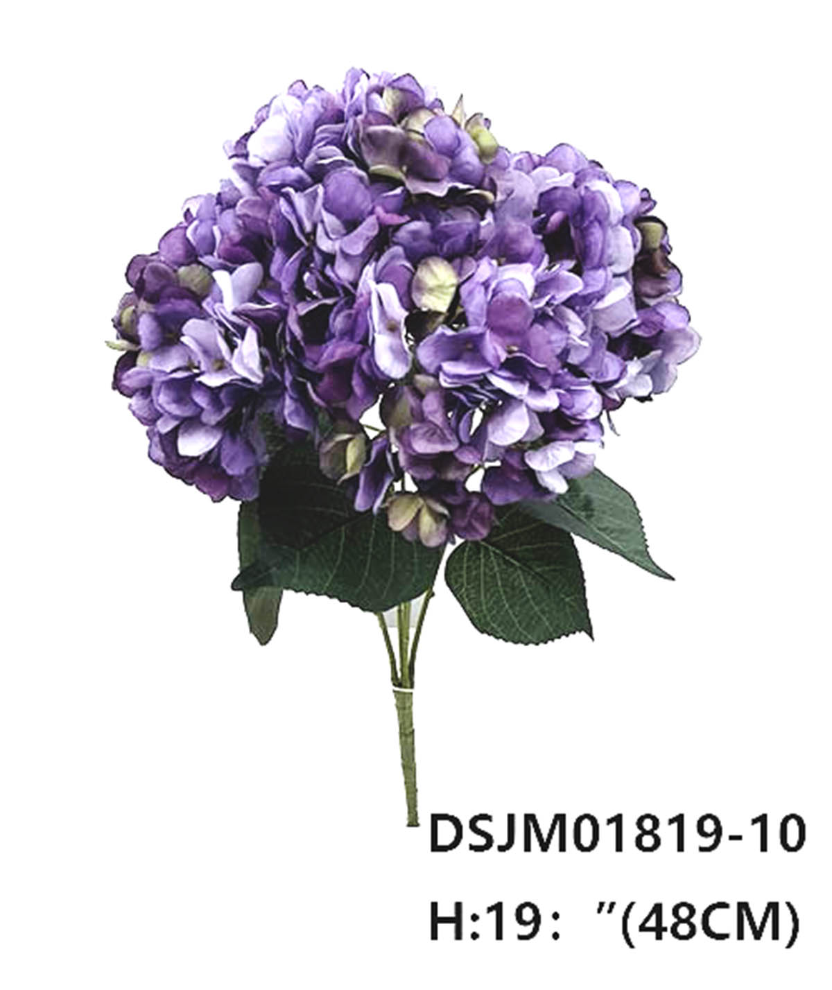 花把束-DSJM01819-10