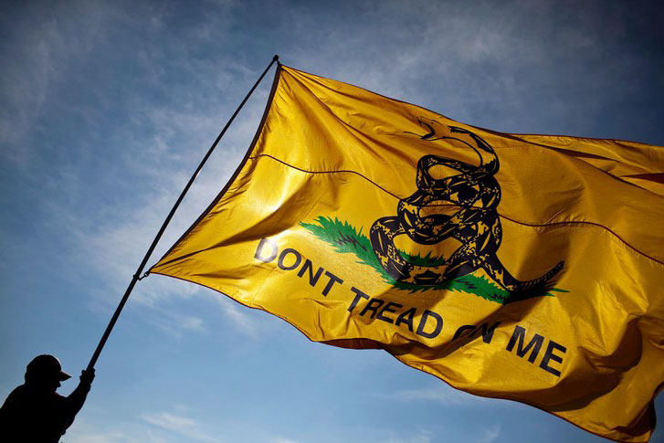 Walker-Shifting-Symbolism-Gadsden-Flag