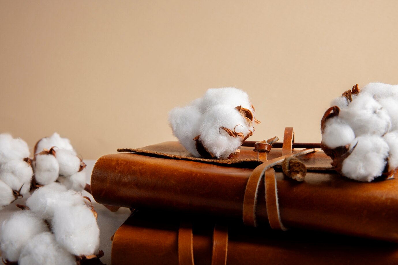 cotton-plants-still-life_23-2151158856