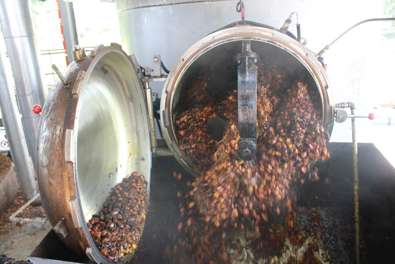 Palm Fruit Steriliz