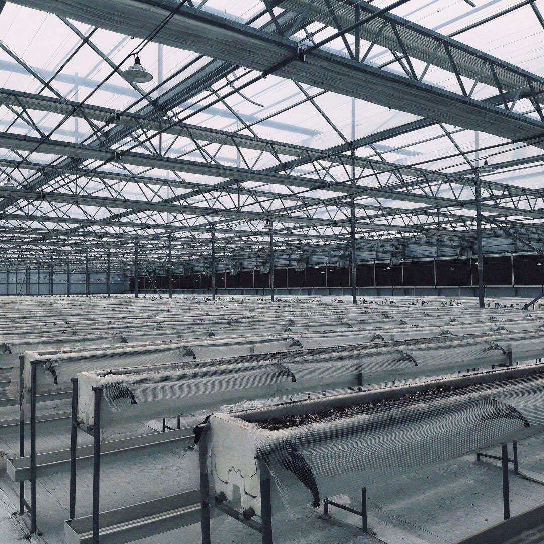 glass greenhouse hyroponics gutter glassgreenhouse inside