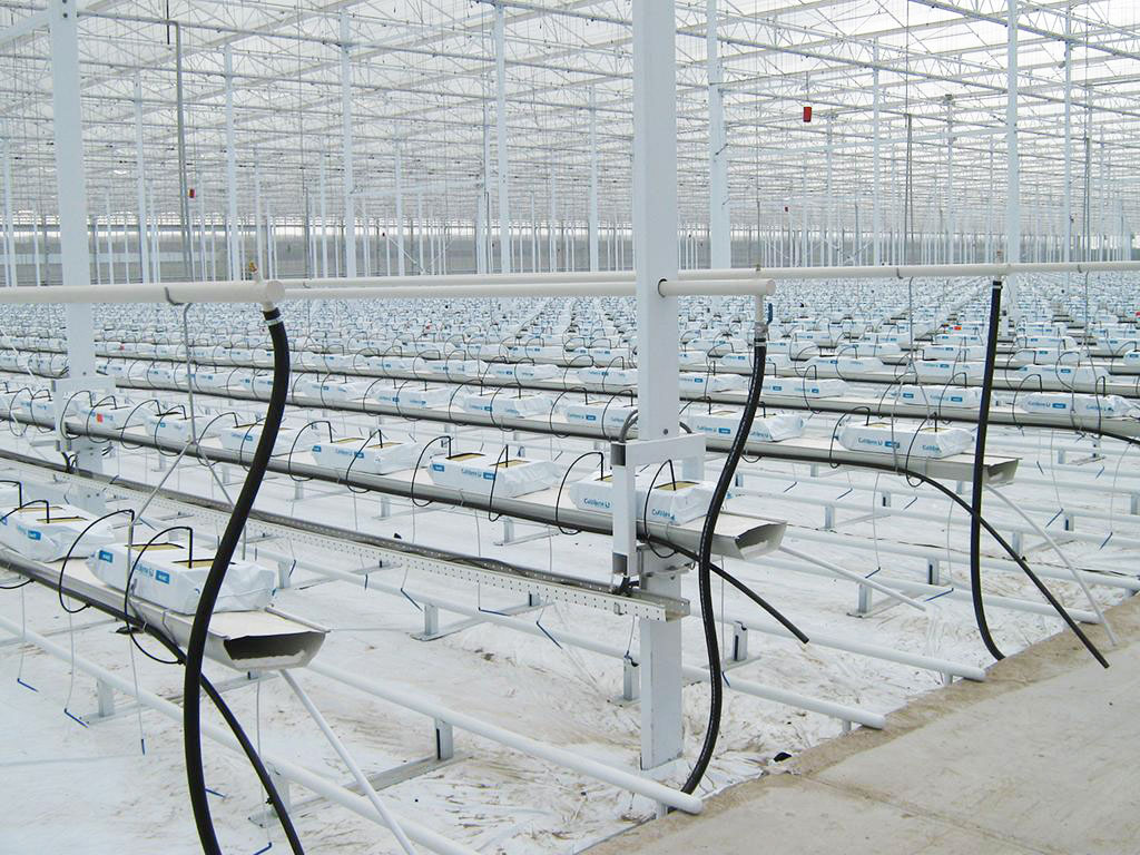 Polyester fiber greenhouses, PC greenhouses, greenhouse construction, greenhouse materials, greenhouse glass, hydroponics, hydroponic greenhouses