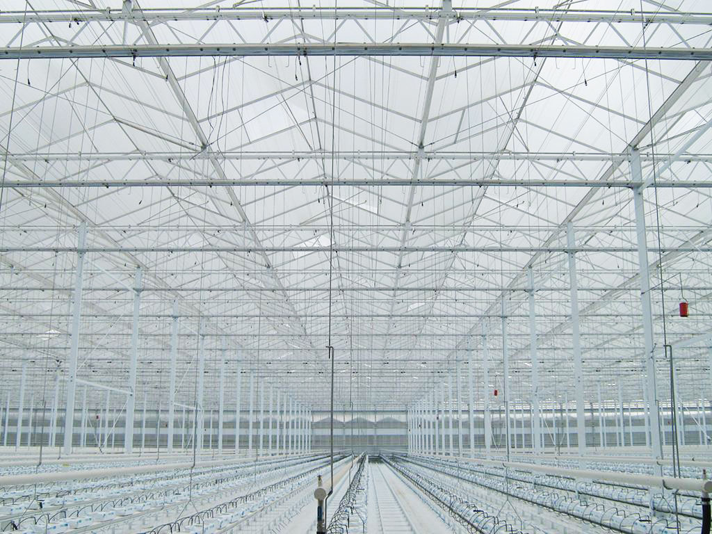 Greenhouse construction, greenhouse construction, greenhouse materials, greenhouse suppliers, glass greenhouses, tomato greenhouses, tomato cultivation, cucumber cultivation