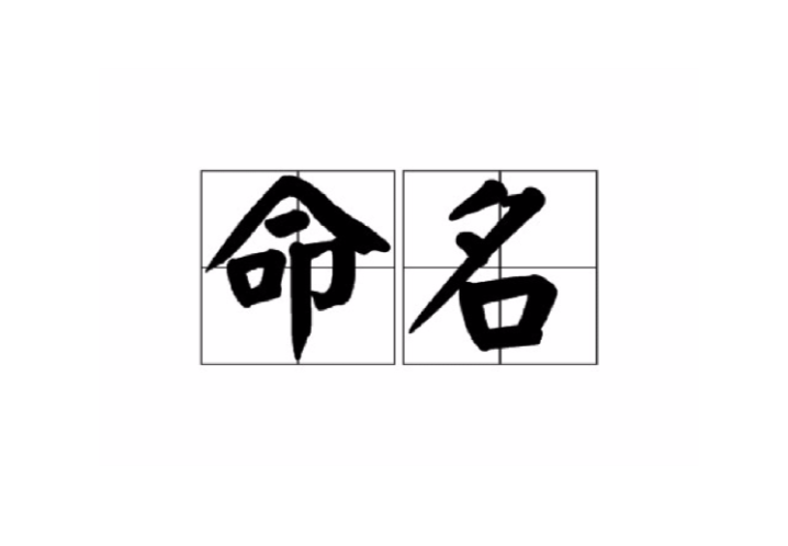 命名