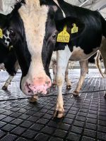 微信图片_20260413165527