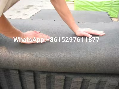 微信图片_20260524185836