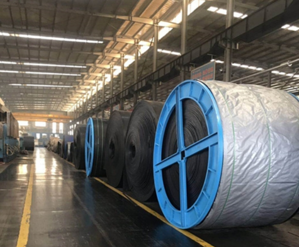 Conveyor belt product category