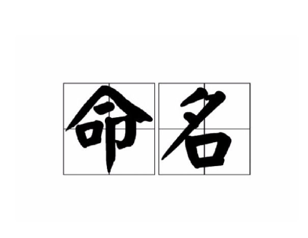 命名