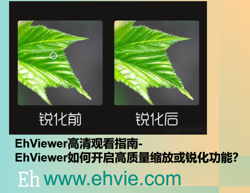 EhViewer高清观看指南-EhViewer如何开启高质量缩放或锐化功能？