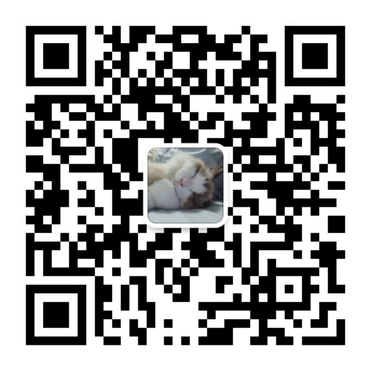 囧次元动漫官方微信公众号