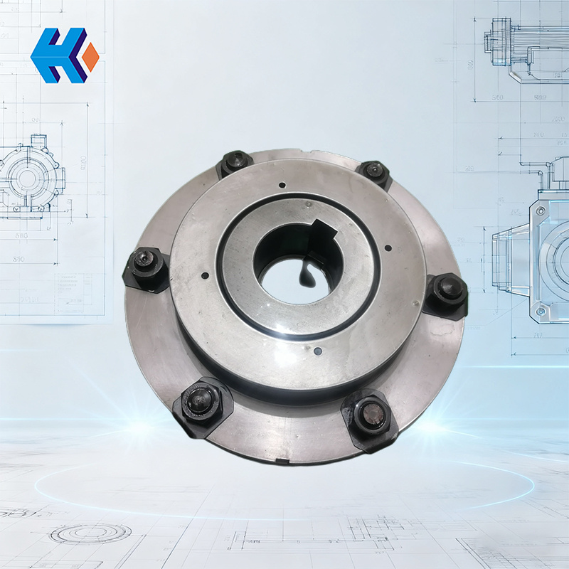 Steam Turbine Pump - Feed Water Pump Coupling