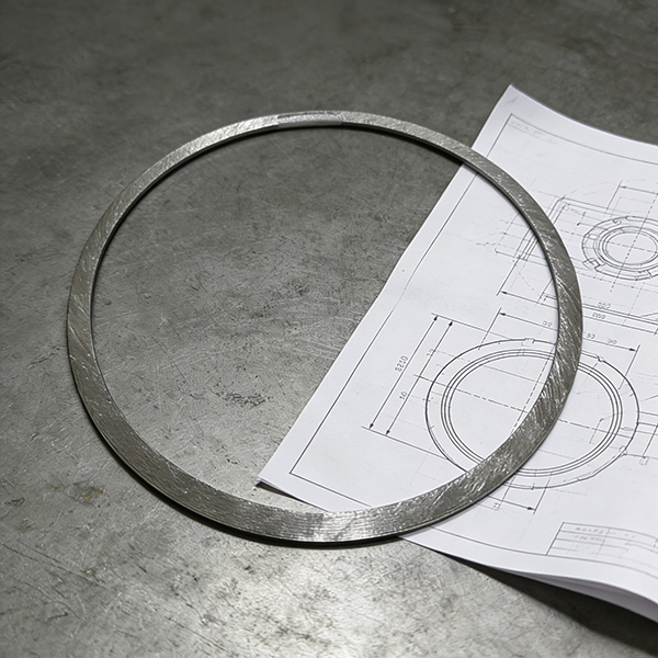 DG600-240-04-06 serrated gasket