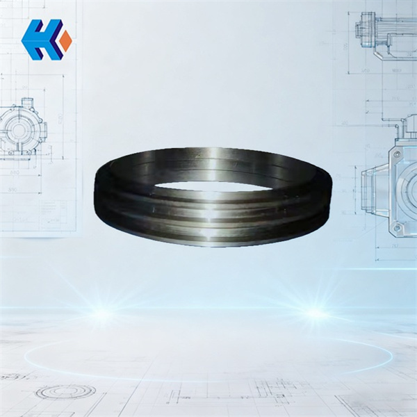 油封支环20MG40.11.09.83J