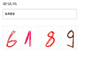 验证码