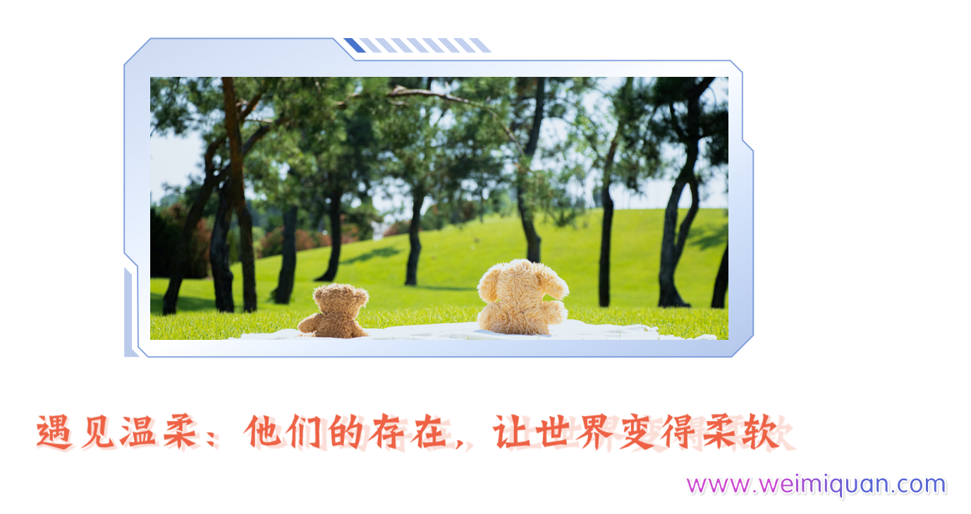 遇见温柔：他们的存在，让世界变得柔软