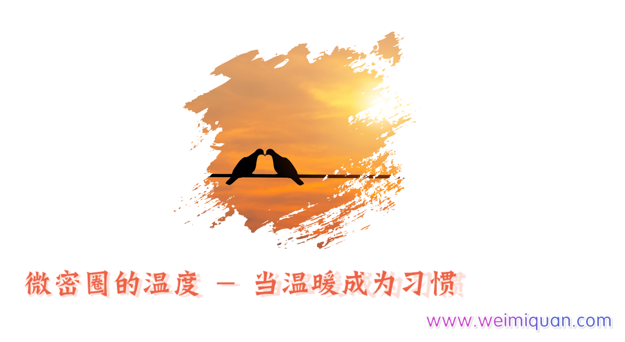 微密圈的温度-当温暖成为习惯