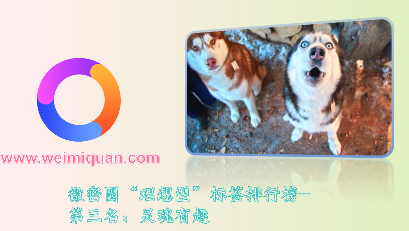 微密圈“理想型”标签排行榜-第三名：灵魂有趣