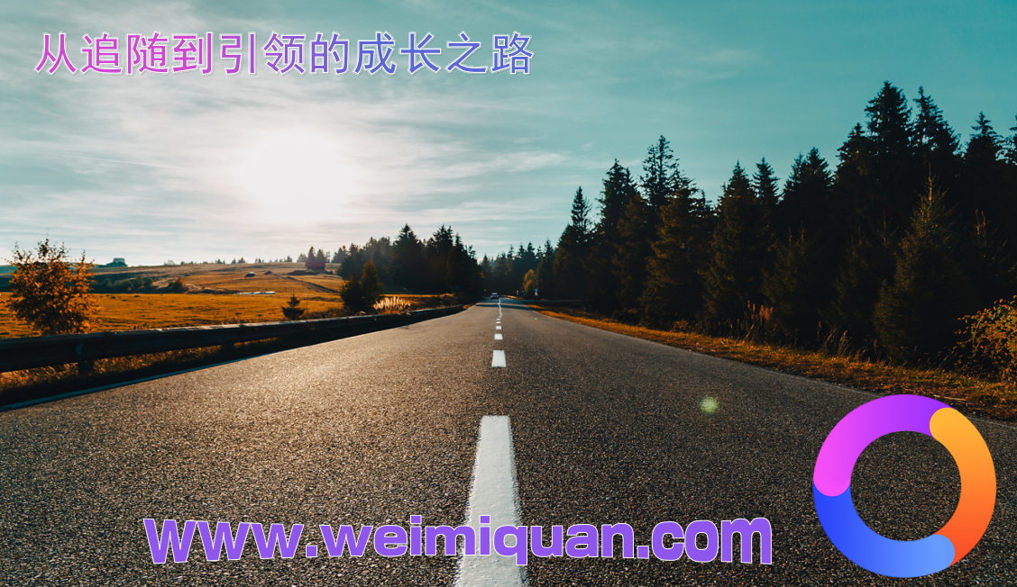 从追随到引领的成长之路
