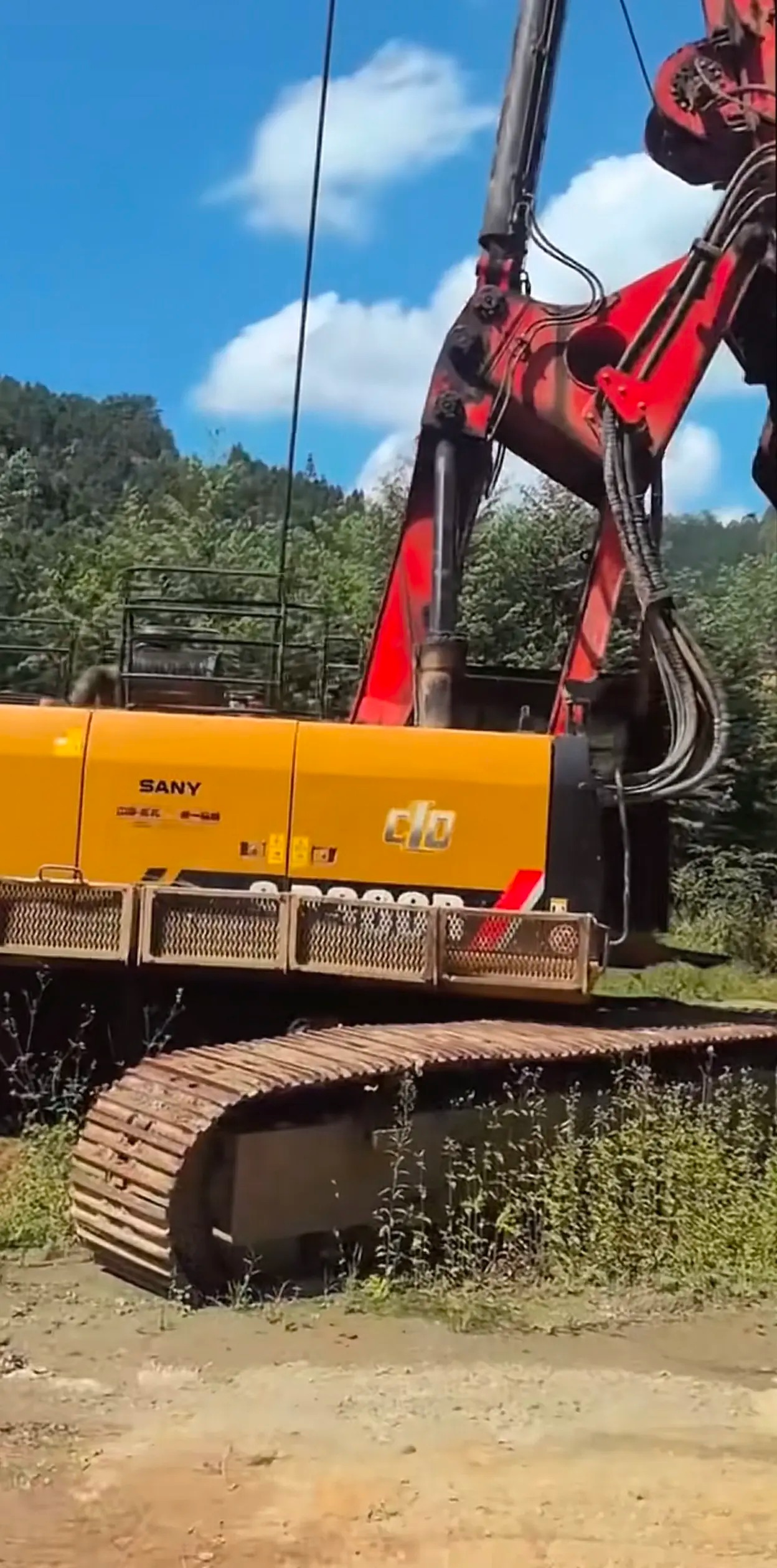 owgoewuaecrf4dyalw4e8wua9e94dearafyiee_tplv-dy-aweme-images_q75-1