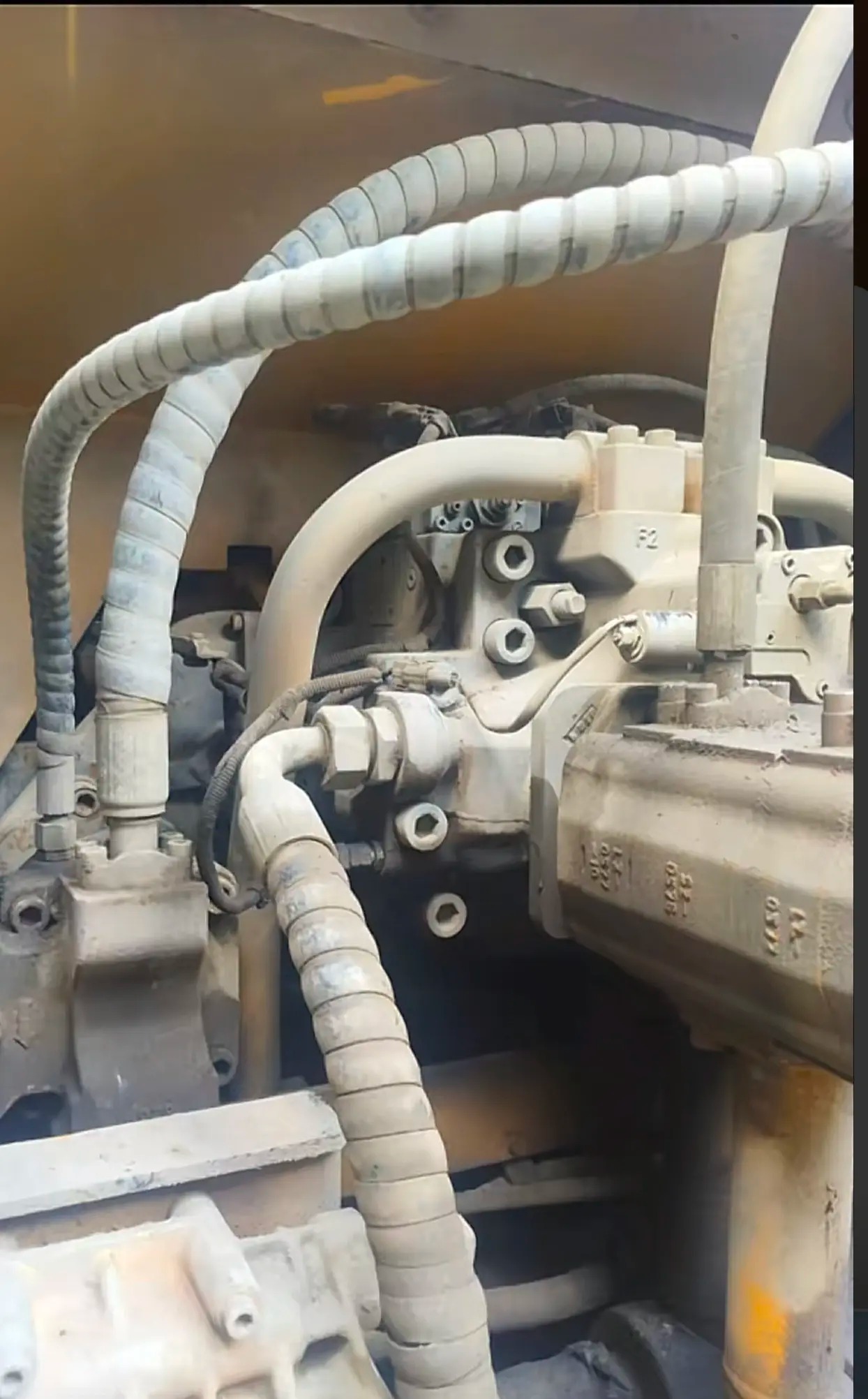 owgoewuaecrf4dyalw4e8wua9e94dearafyiee_tplv-dy-aweme-images_q75-3