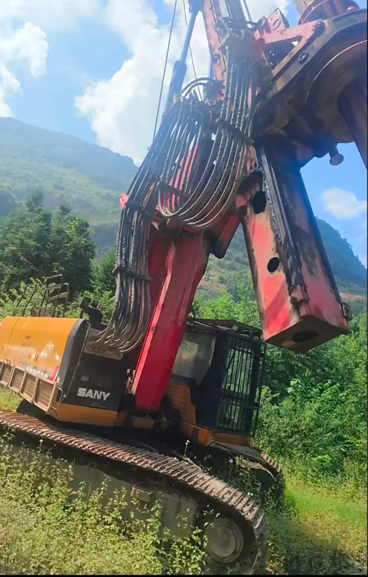 owgoewuaecrf4dyalw4e8wua9e94dearafyiee_tplv-dy-aweme-images_q75