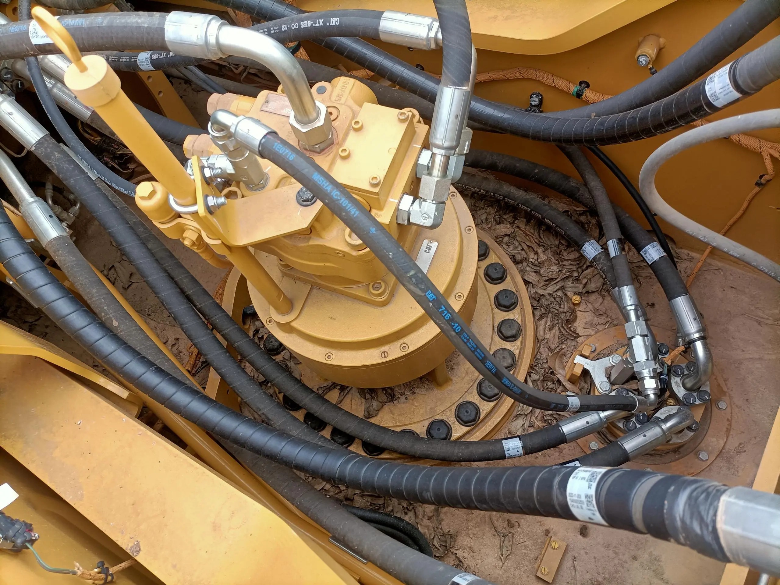 oceq977gbegzucfiy4lftqaqjgavgge5nra8sa_tplv-dy-aweme-images_q75-6