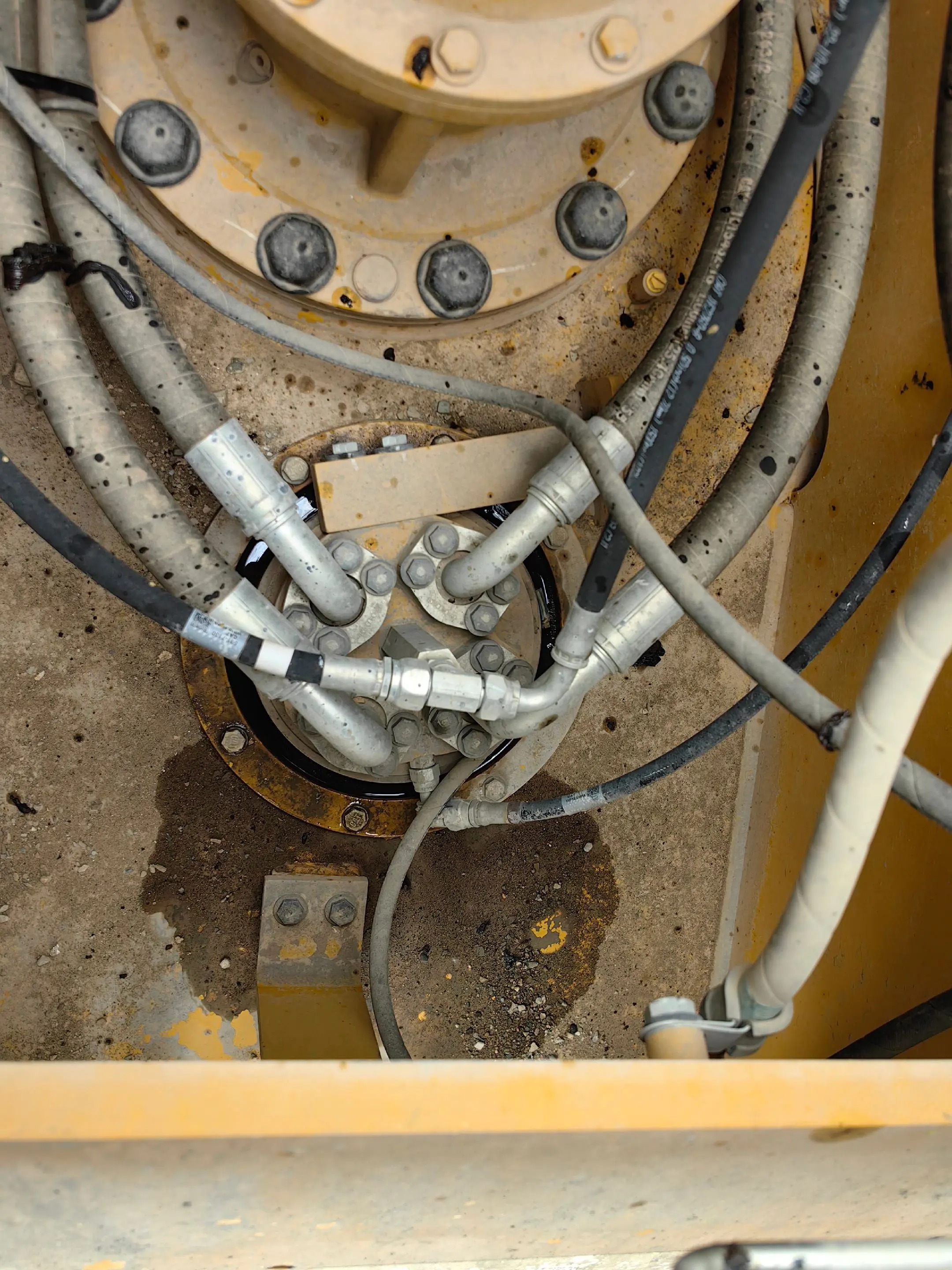 oqra5dauih9aszzcbm6za7piearaqqh4vniap_tplv-dy-aweme-images_q75-5