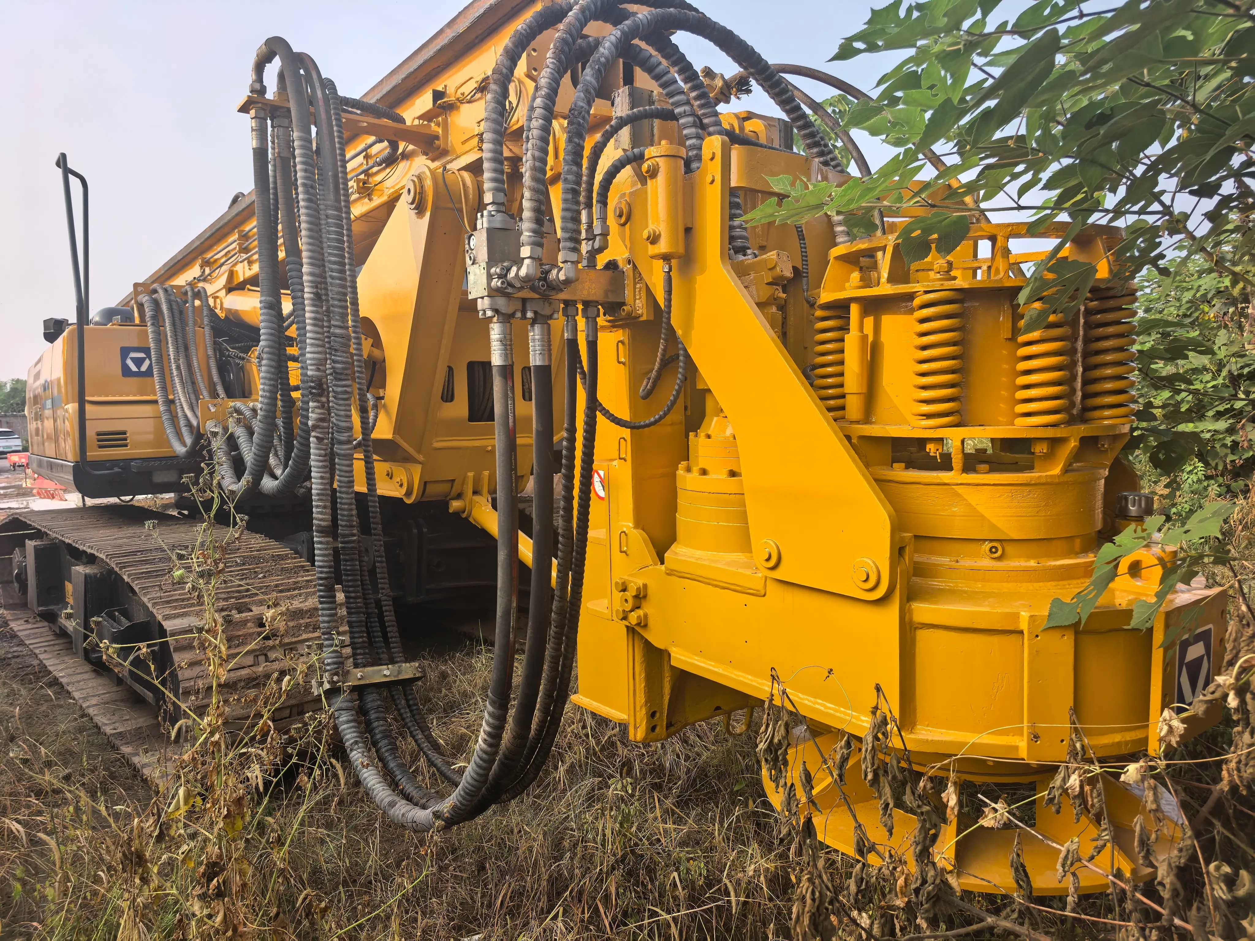 ouastrvpdqeuge7bamfacuvrgcfmoaaieggjnn_tplv-dy-aweme-images_q75-4