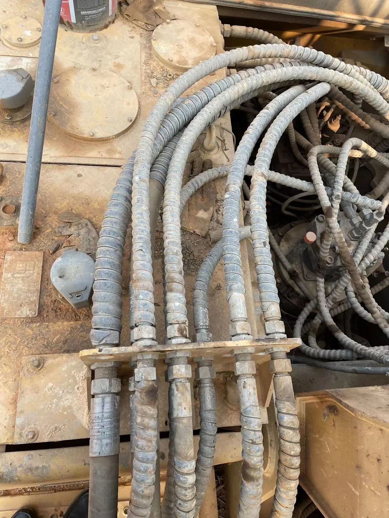 oemaeflwoeliea87bbcqkzzaasb1ahbbbdwnde_tplv-dy-aweme-images_q75-6