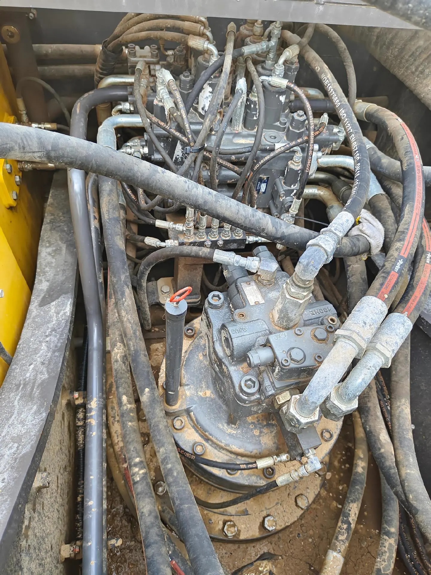 oozaeclaazhskgaauu9ctfnbxacstia0eldb4a_tplv-dy-aweme-images_q75-2