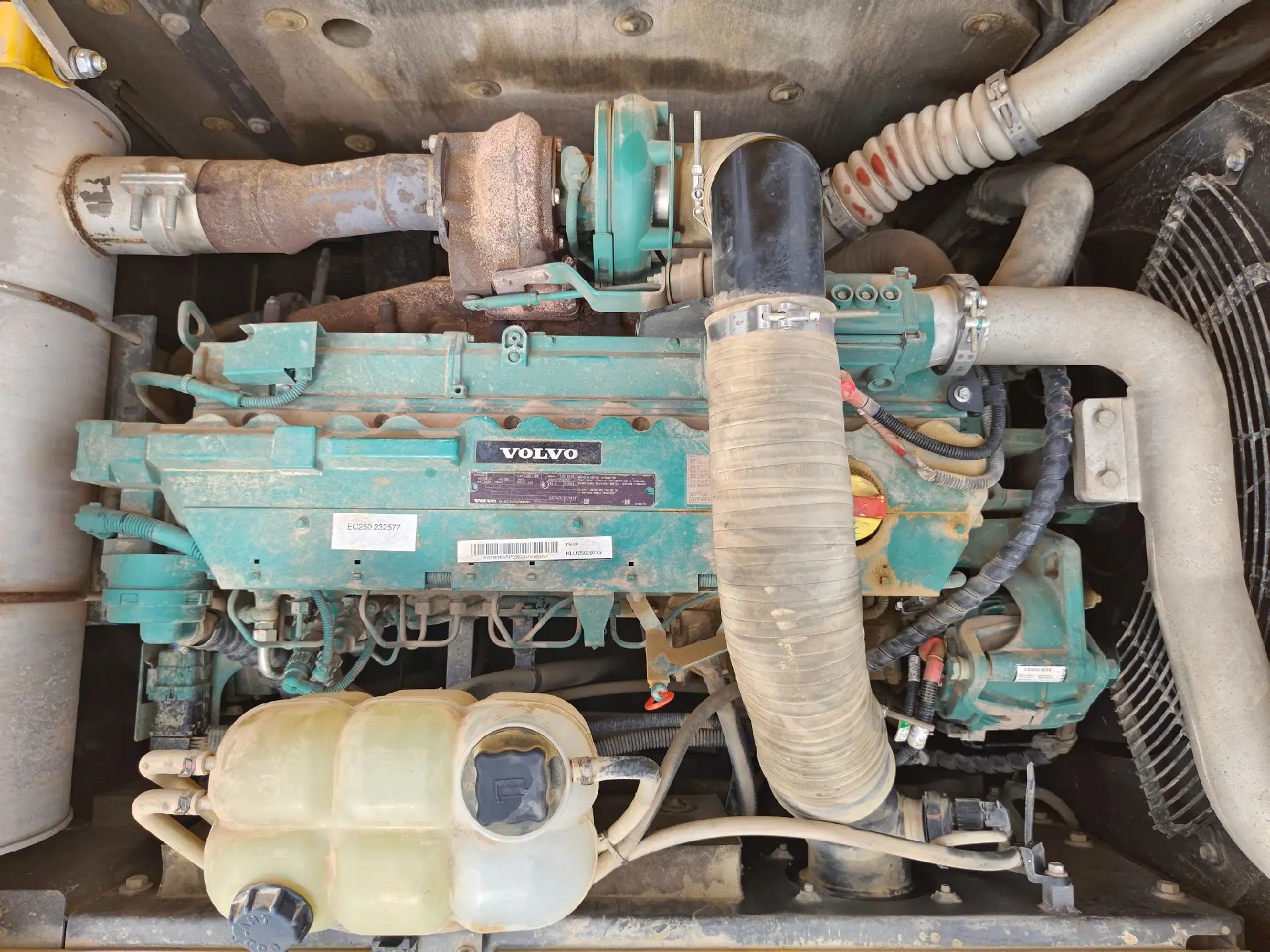 oozaeclaazhskgaauu9ctfnbxacstia0eldb4a_tplv-dy-aweme-images_q75-4