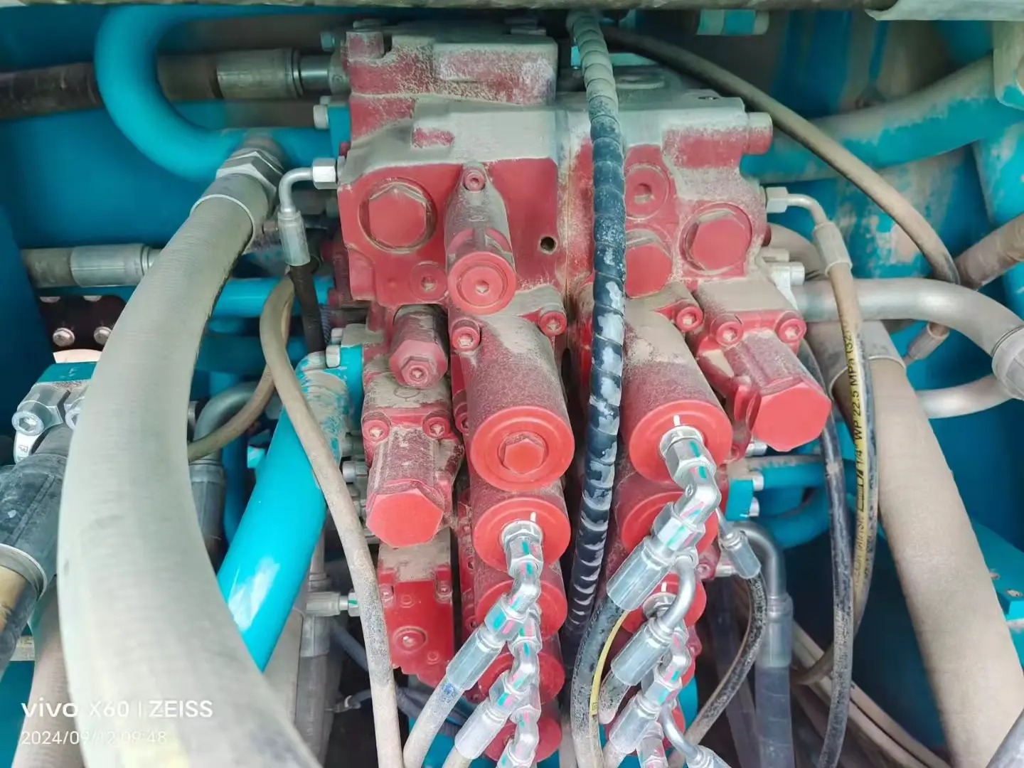 okfousinqcaigggeaisayaaxyliguz6vbaesib_tplv-dy-aweme-images_q75-2