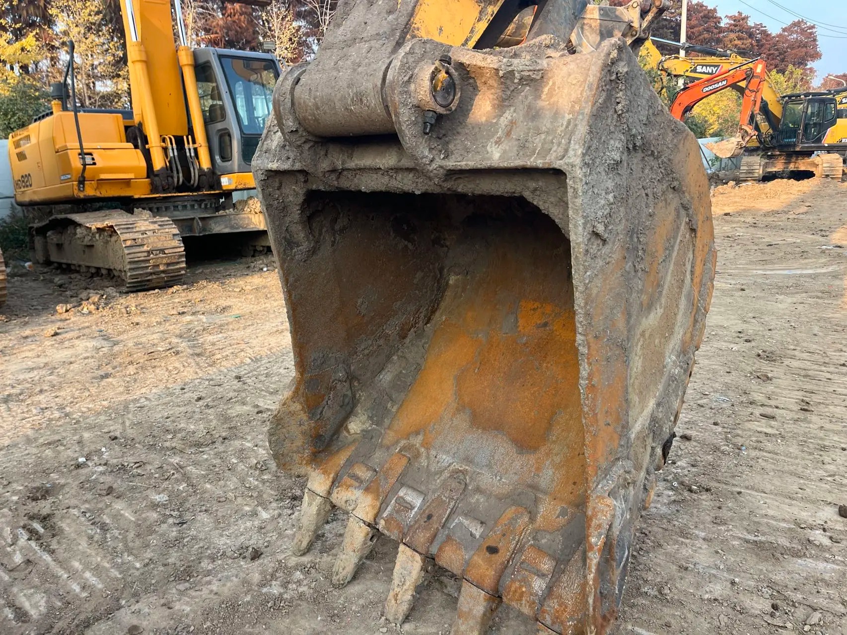 oklgua9d2datriizbtifacgh5wfaereneab6af_tplv-dy-aweme-images_q75-4