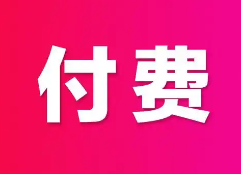 付费