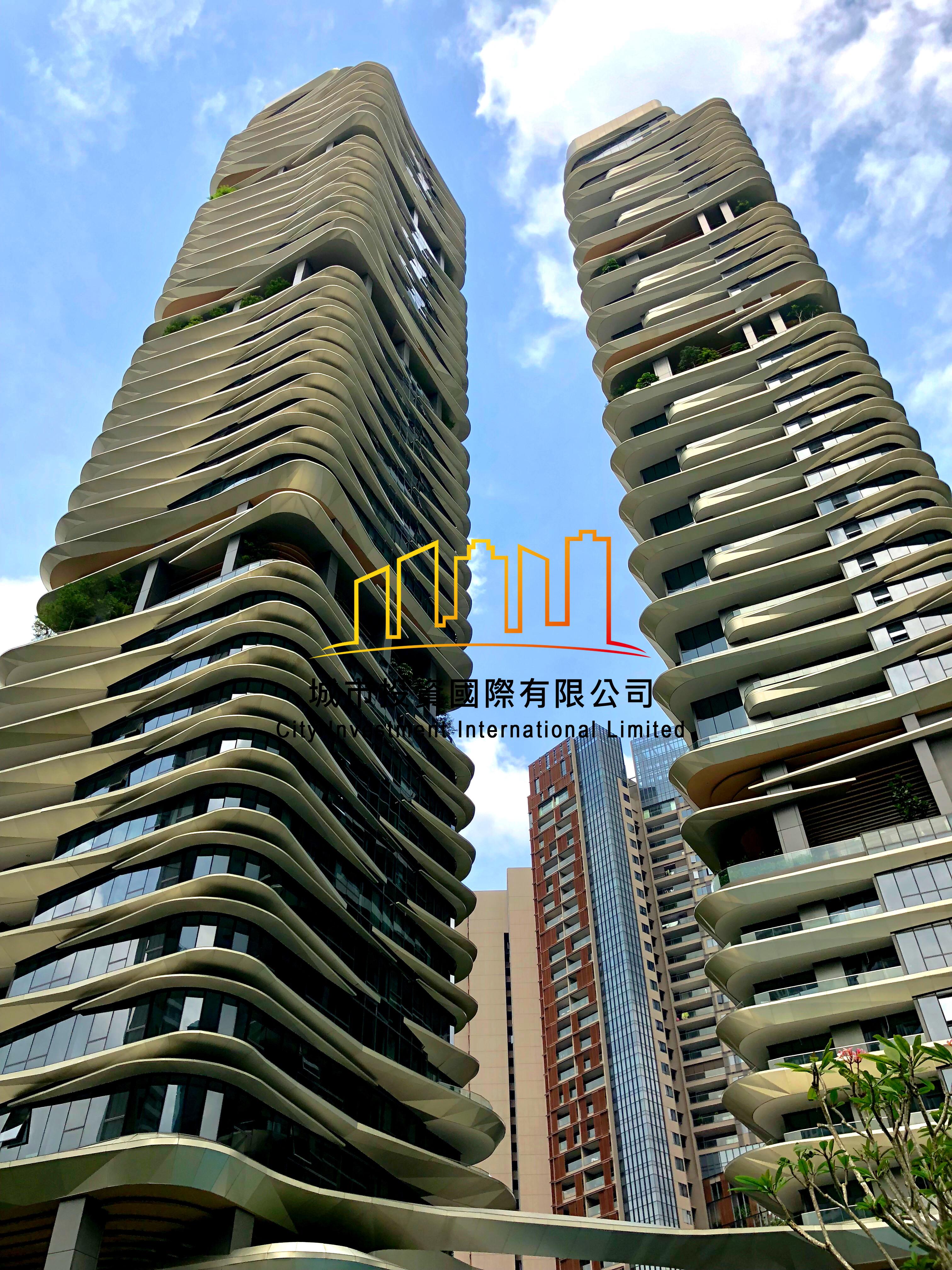 新加坡银峰NewFutura2